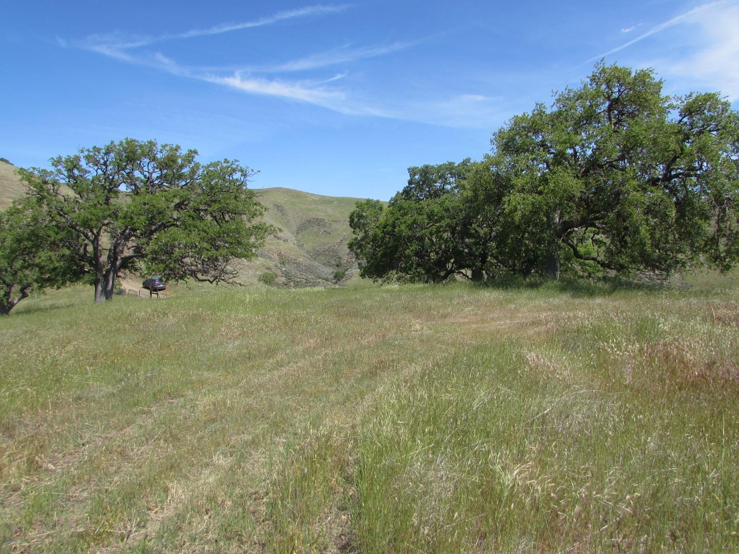 20357 Panoche Road Paicines, CA 95043 - Photo 11 of 18 Gallery Image 11