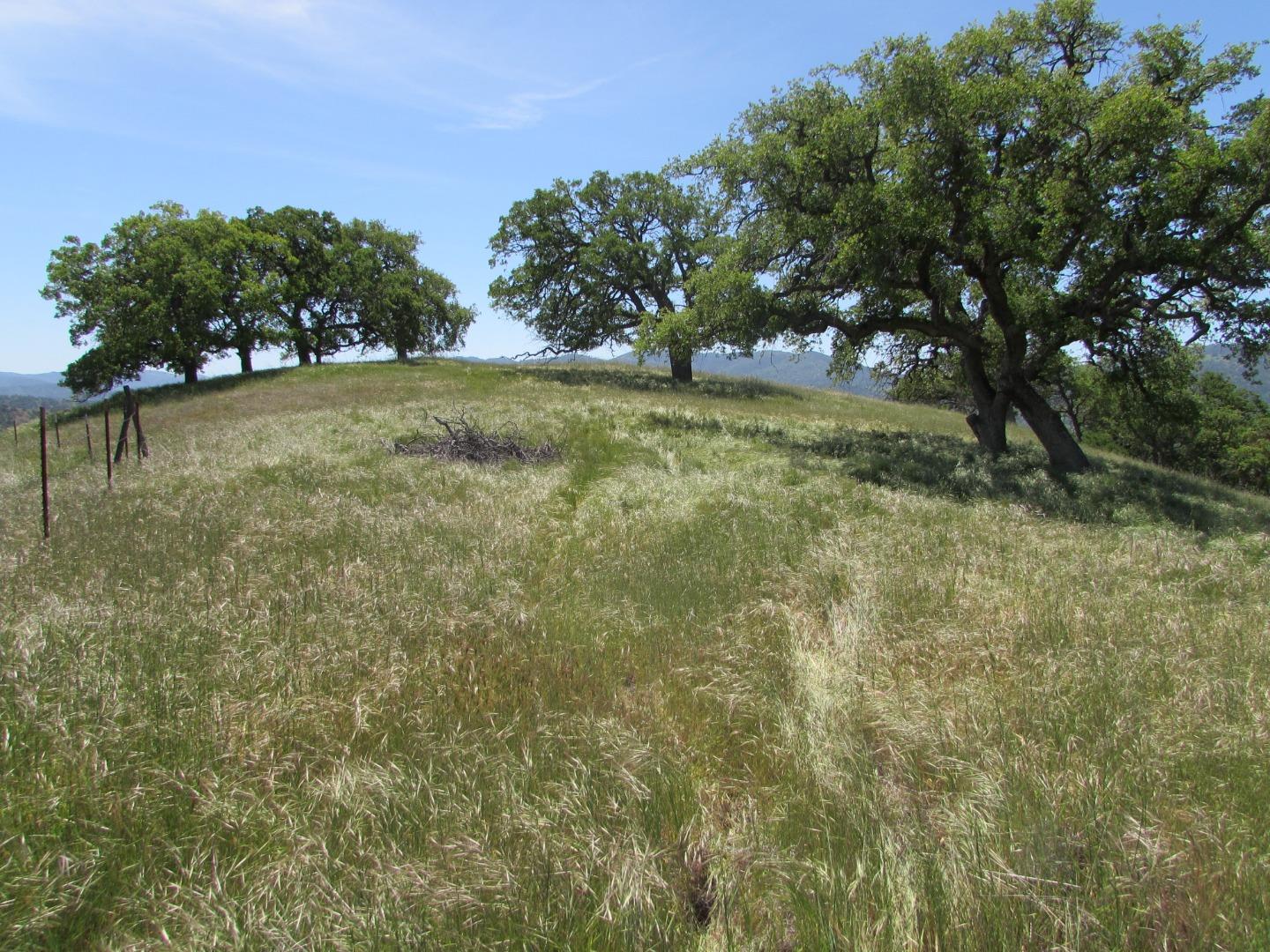 20357 Panoche Road Paicines, CA 95043 - Photo 12 of 18 Gallery Image 12