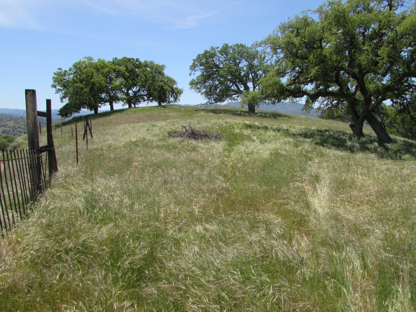 20357 Panoche Road Paicines, CA 95043 - Photo 13 of 18 Gallery Image 13