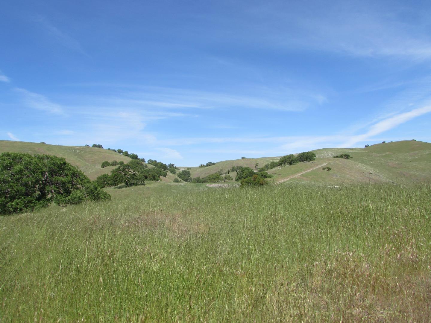 20357 Panoche Road Paicines, CA 95043 - Photo 15 of 18 Gallery Image 15