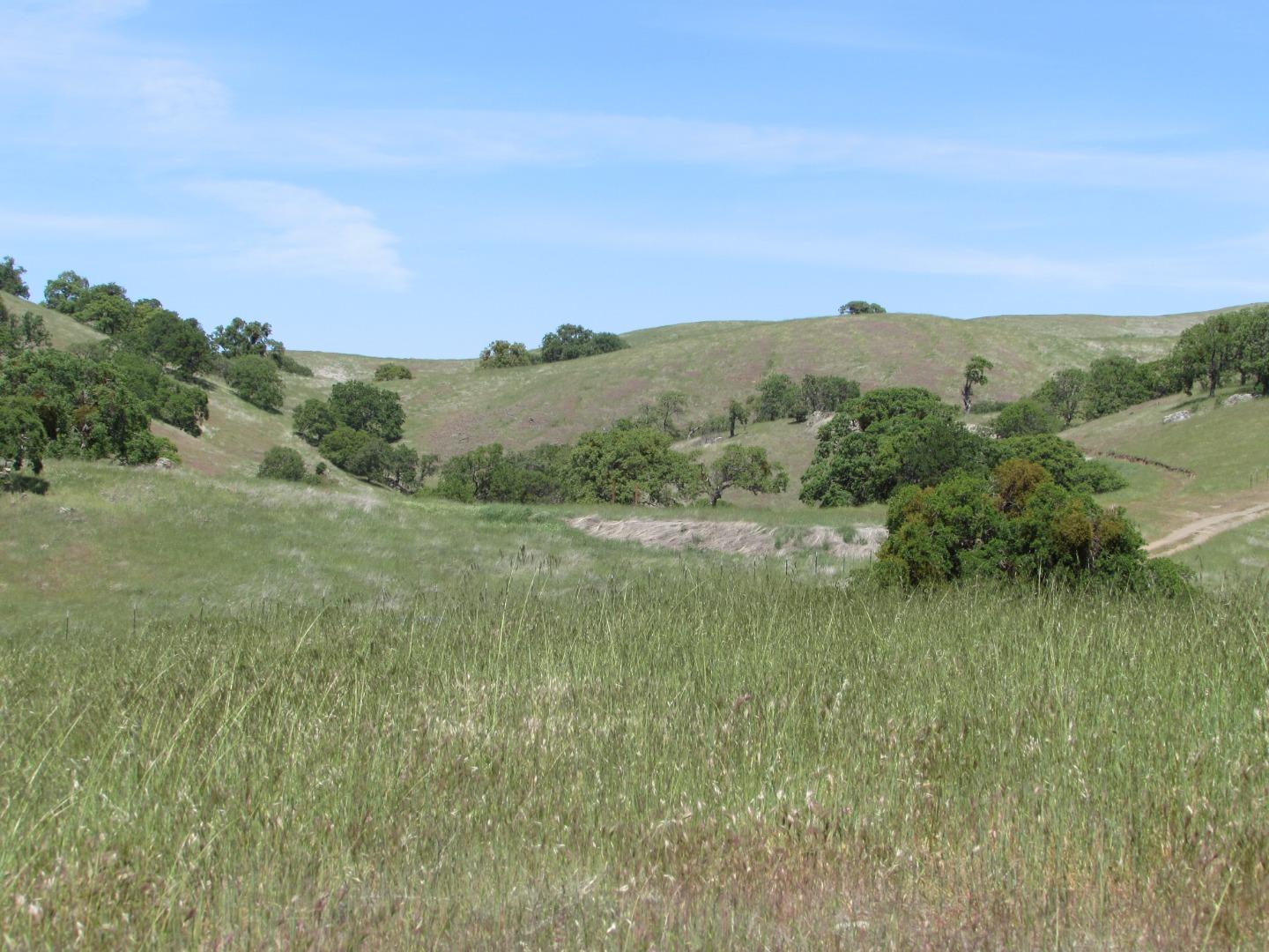 20357 Panoche Road Paicines, CA 95043 - Photo 17 of 18 Gallery Image 17