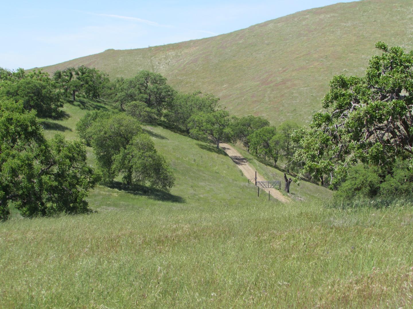 20357 Panoche Road Paicines, CA 95043 - Photo 18 of 18 Gallery Image 18