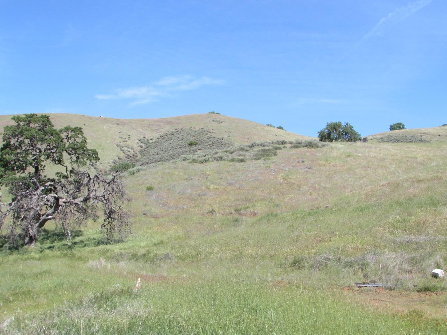 20357 Panoche Road Paicines, CA 95043 - Photo 2 of 18 Gallery Image 2