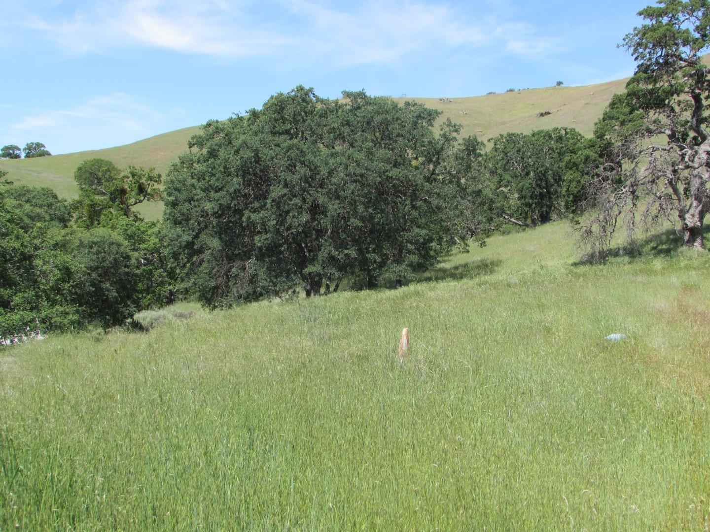 20357 Panoche Road Paicines, CA 95043 - Photo 3 of 18 Gallery Image 3