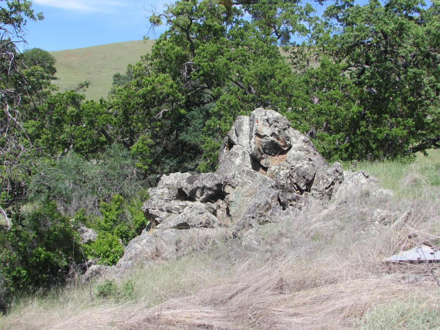 20357 Panoche Road Paicines, CA 95043 - Photo 4 of 18 Gallery Image 4