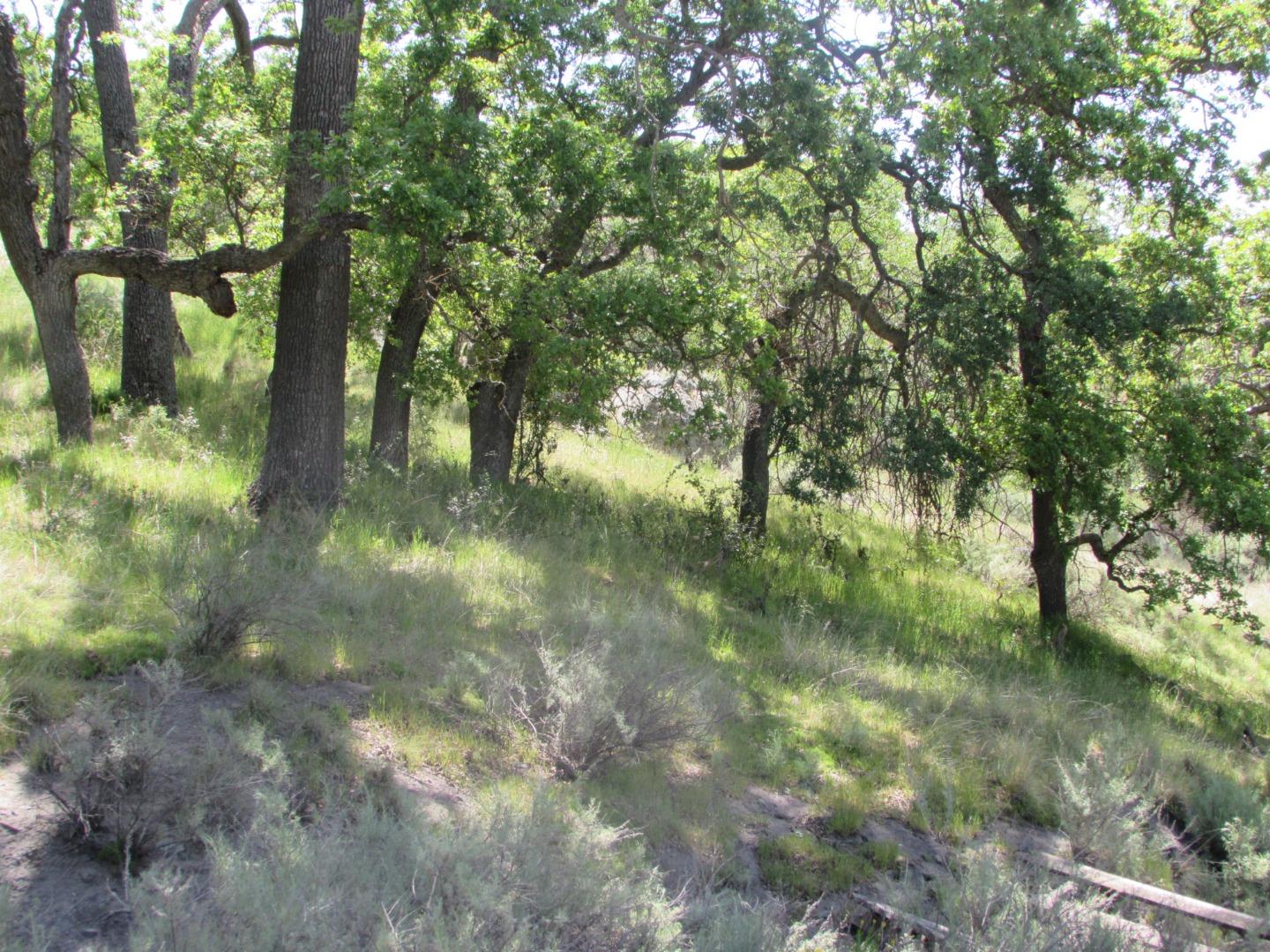 20357 Panoche Road Paicines, CA 95043 - Photo 5 of 18 Gallery Image 5