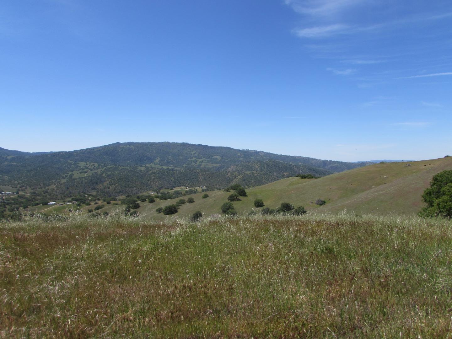 20357 Panoche Road Paicines, CA 95043 - Photo 7 of 18 Gallery Image 7