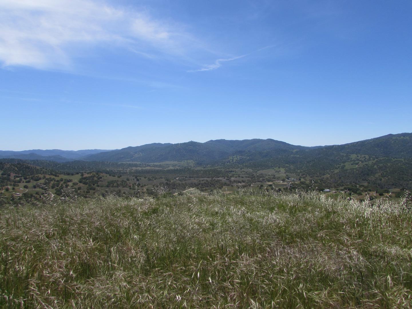 20357 Panoche Road Paicines, CA 95043 - Photo 9 of 18 Gallery Image 9