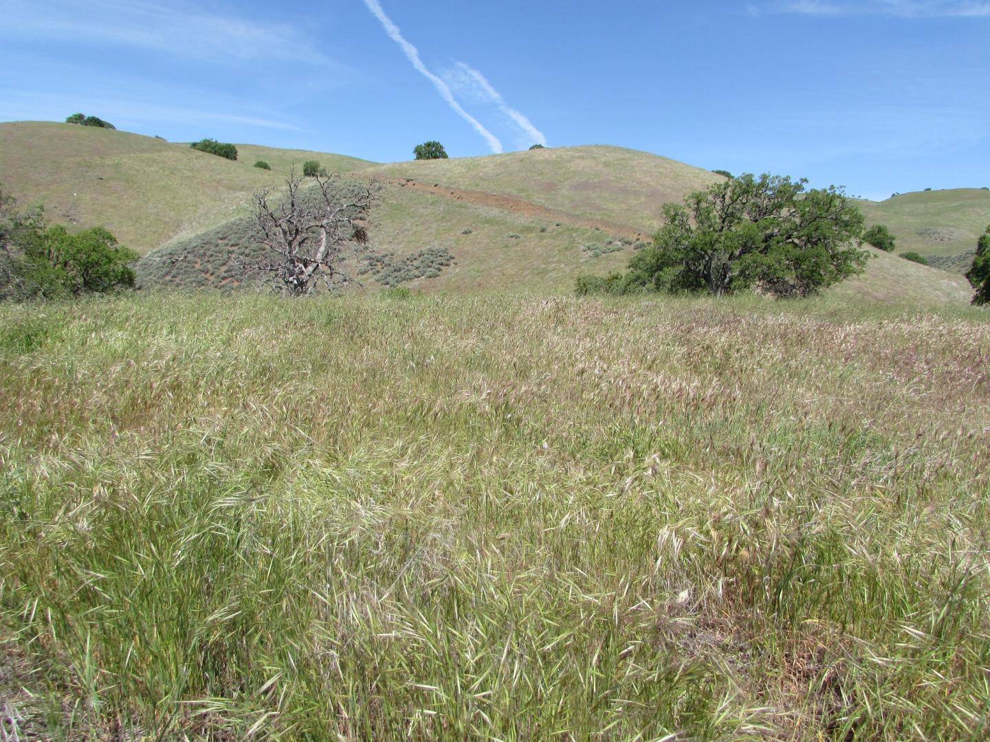 20357 Panoche Road Paicines, CA 95043 - Photo 10 of 18 Gallery Image 10