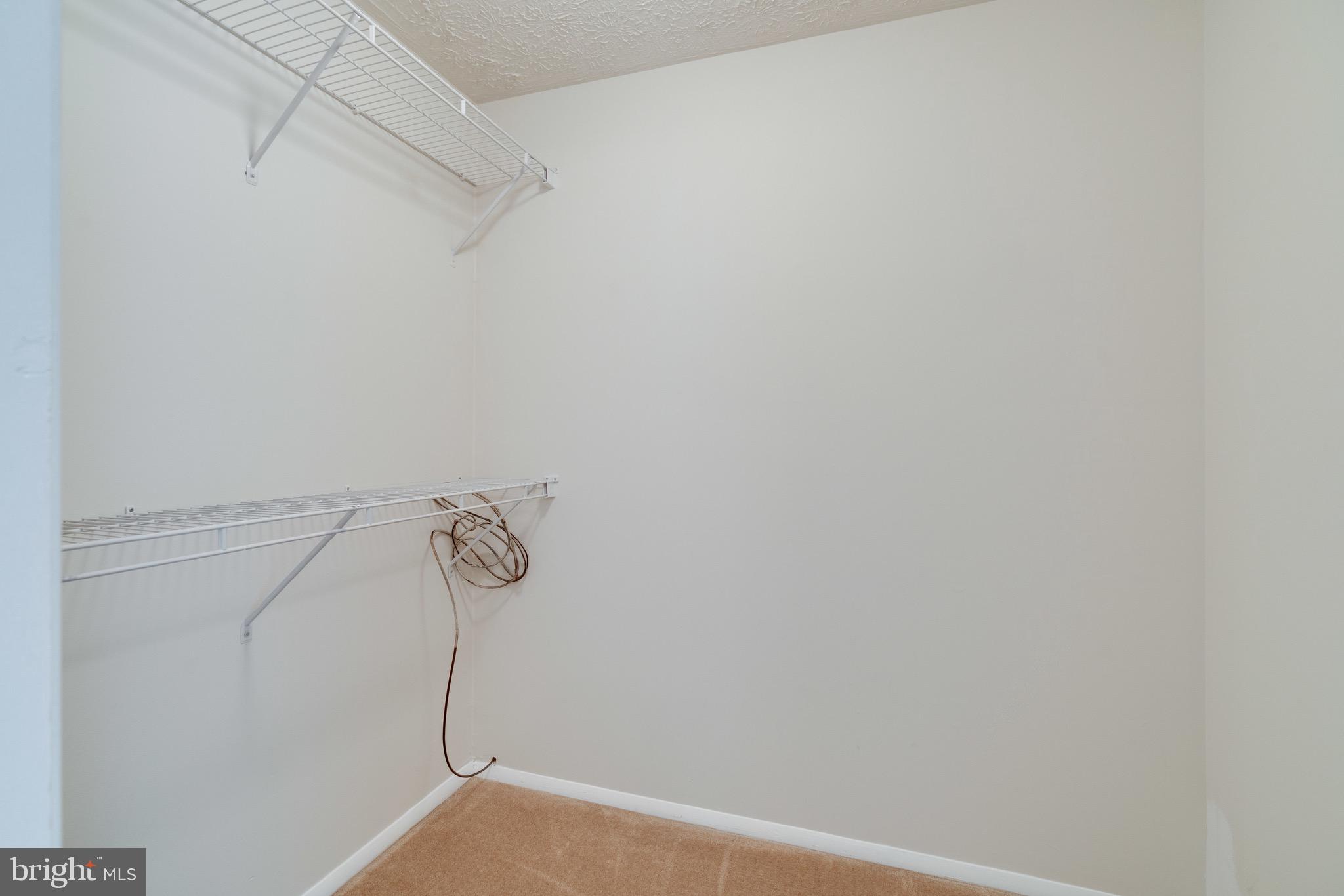 8765 Newington Commons Road Lorton, VA 22079 - Photo 35 of 51 Master Walk in Closet