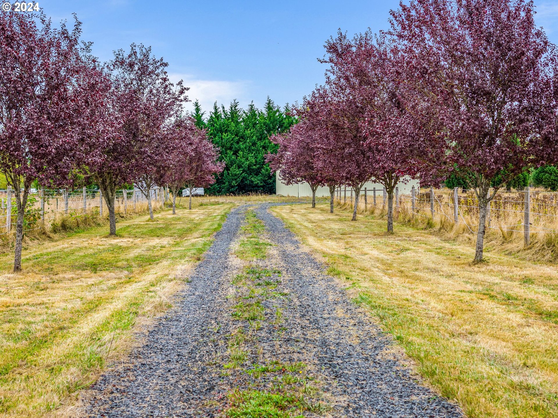 143 Smokey Valley Road Toledo, WA 98591 - Photo 8 of 47