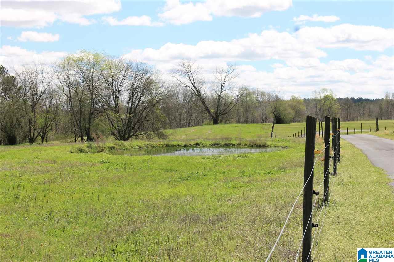 3300 Armstrong Loop Road Hayden, AL 35079 - Photo 9 of 42 Gallery Image 9