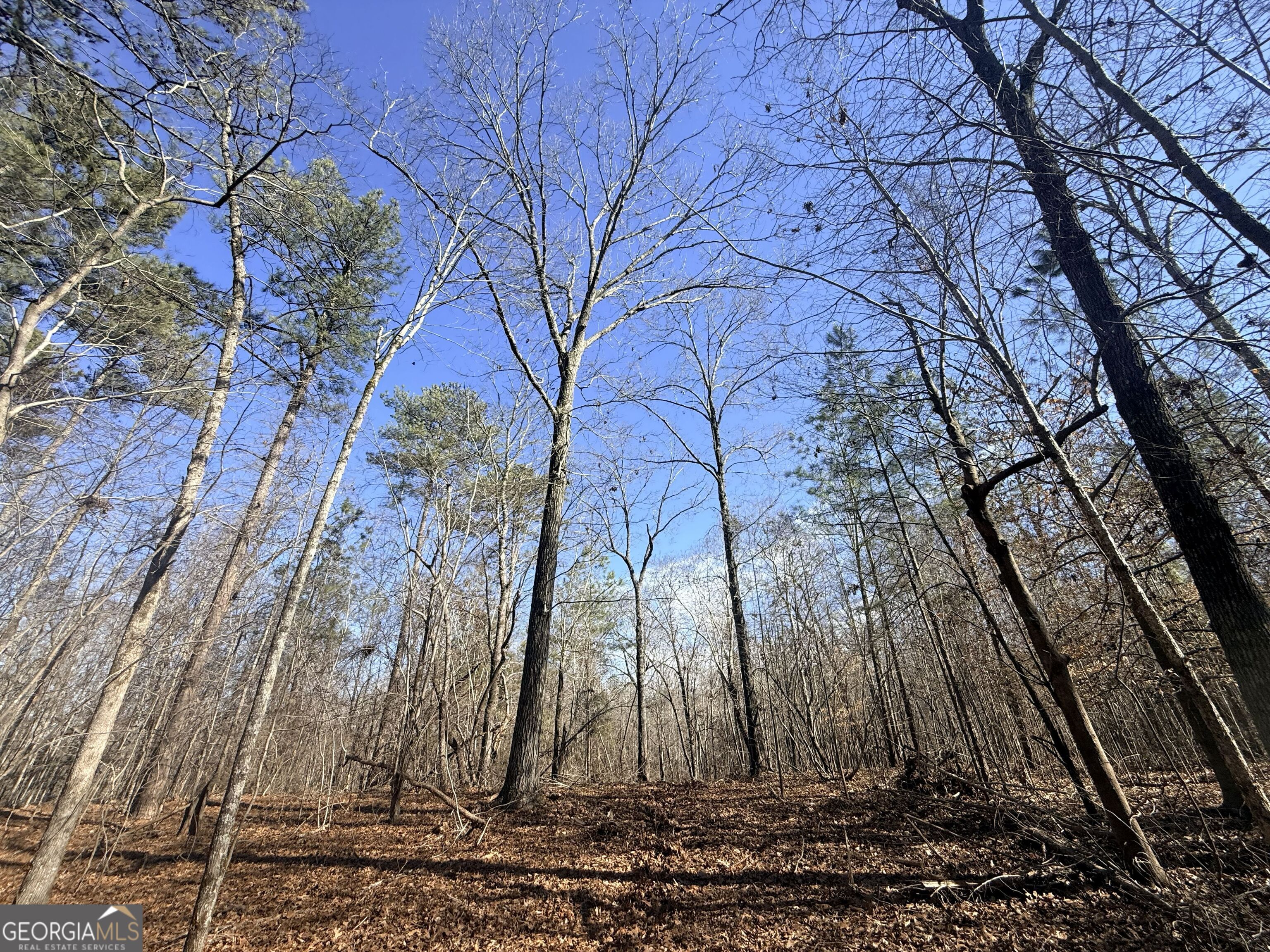 1 Bunch Road Tignall, GA 30668 - Photo 1 of 1 Gallery Image 1
