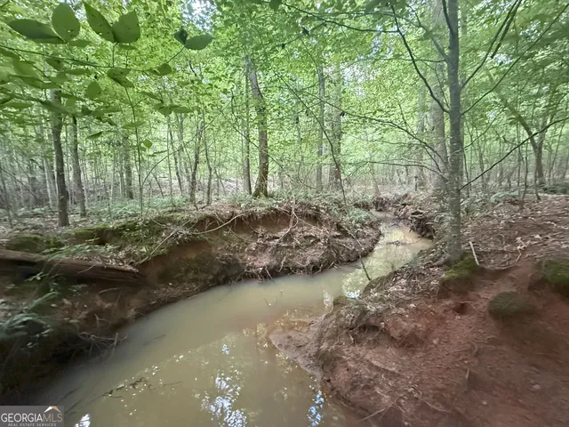 a view of a lake with lots of trees