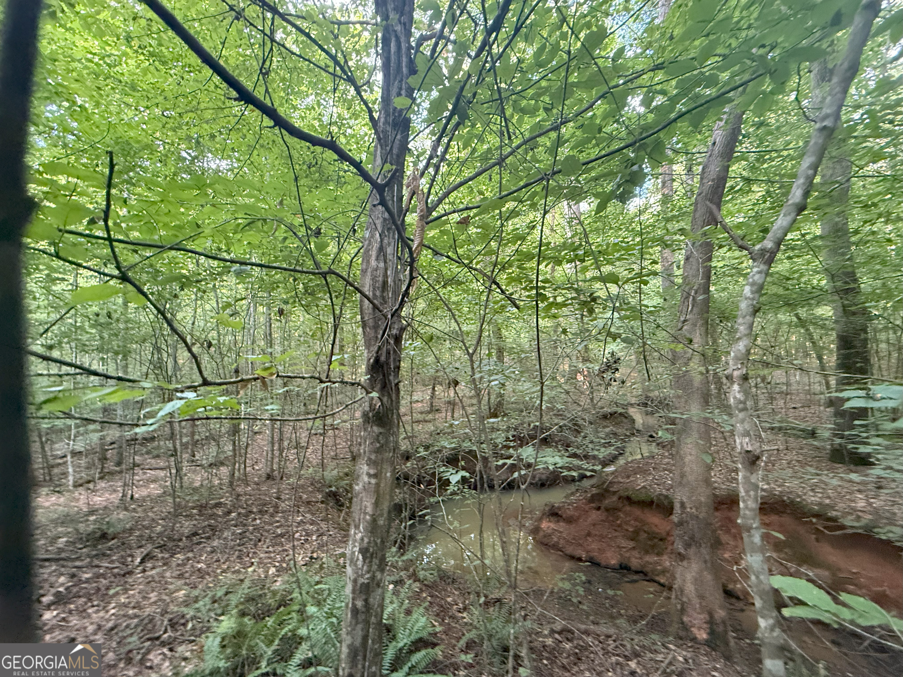 1 Bunch Road Tignall, GA 30668 - Photo 21 of 35 a backyard of a house with lots of green space