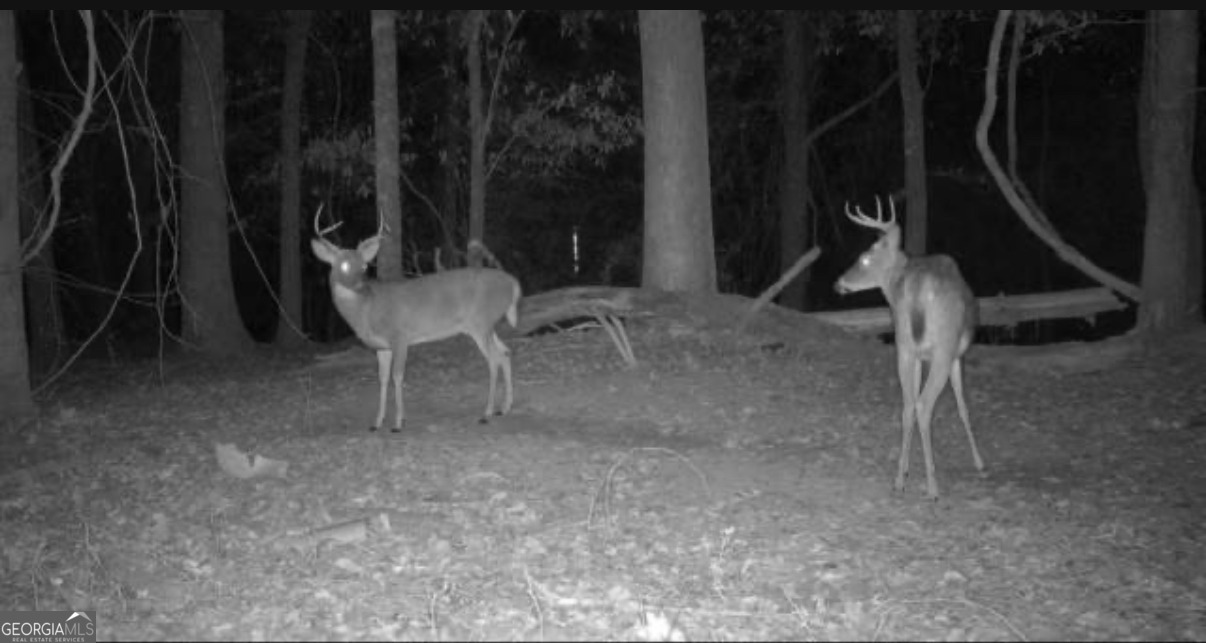 1 Bunch Road Tignall, GA 30668 - Photo 27 of 35 a view of a room with gym equipment