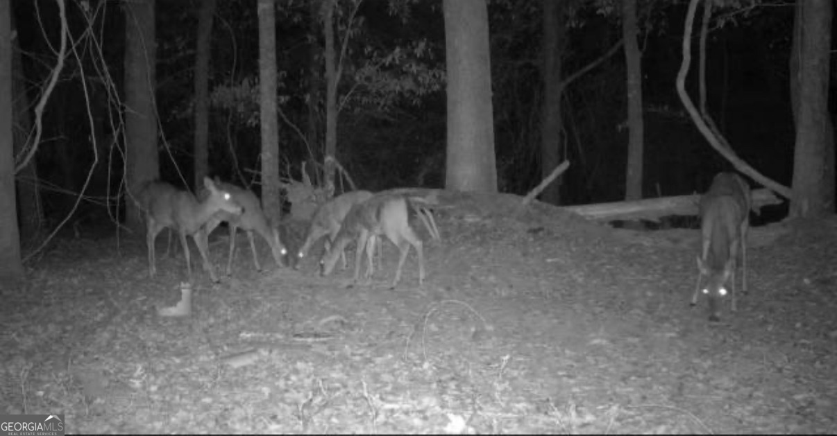 1 Bunch Road Tignall, GA 30668 - Photo 28 of 35 a view of small space