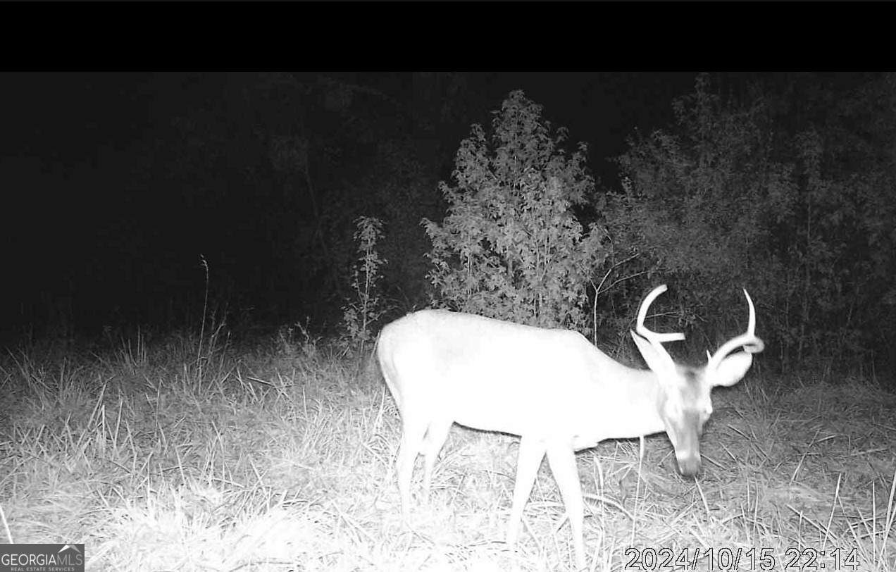 1 Bunch Road Tignall, GA 30668 - Photo 29 of 35 a view of outdoor space with a sink