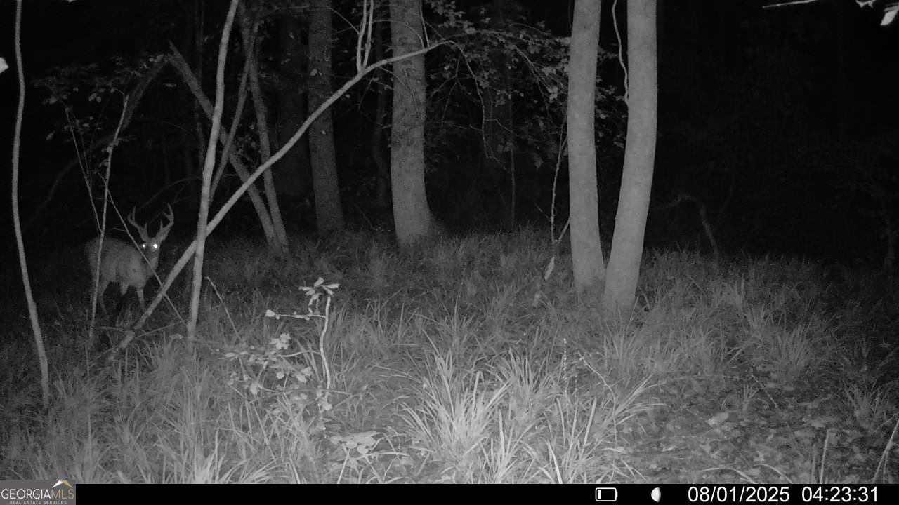 1 Bunch Road Tignall, GA 30668 - Photo 31 of 35 a view of entryway