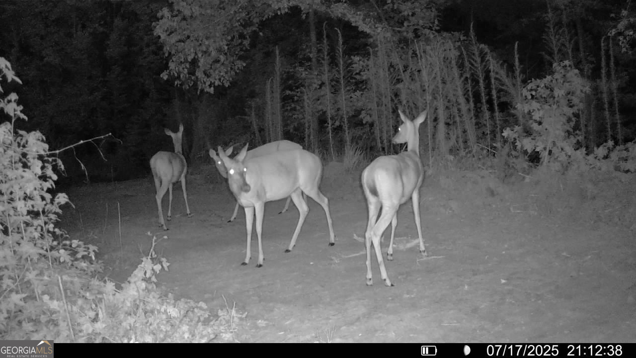 1 Bunch Road Tignall, GA 30668 - Photo 32 of 35 a view of a tables and chairs in the patio