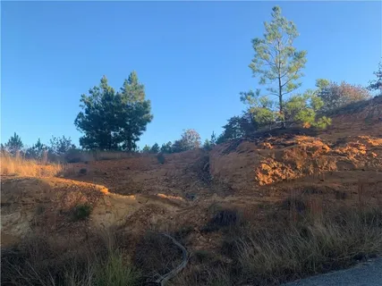 $69,000 | Lot 1 Kainalu Lane, Bastrop, TX 78602