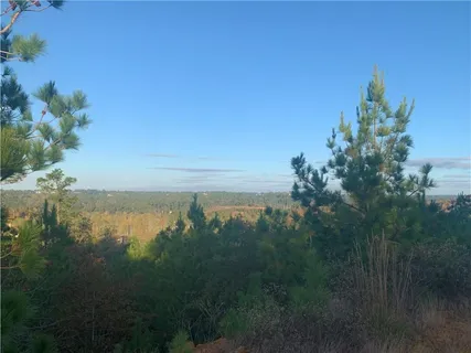 $69,000 | Lot 1 Kainalu Lane, Bastrop, TX 78602