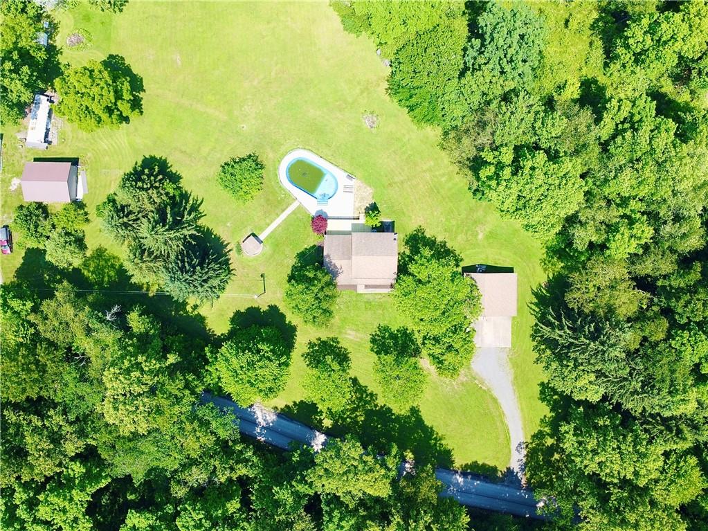 752 Covered Bridge Road Volant, PA 16156 - Photo 42 of 48 a view of a garden