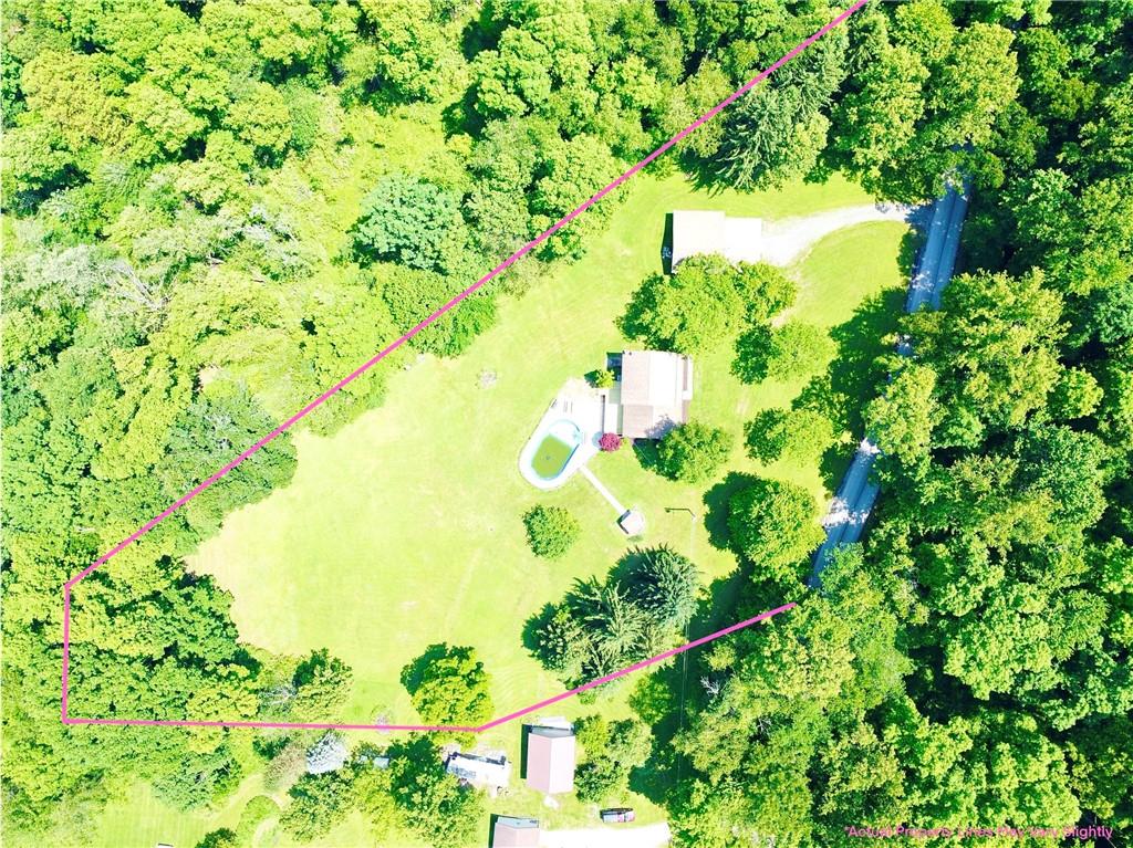 752 Covered Bridge Road Volant, PA 16156 - Photo 7 of 48 a view of flowers in a garden