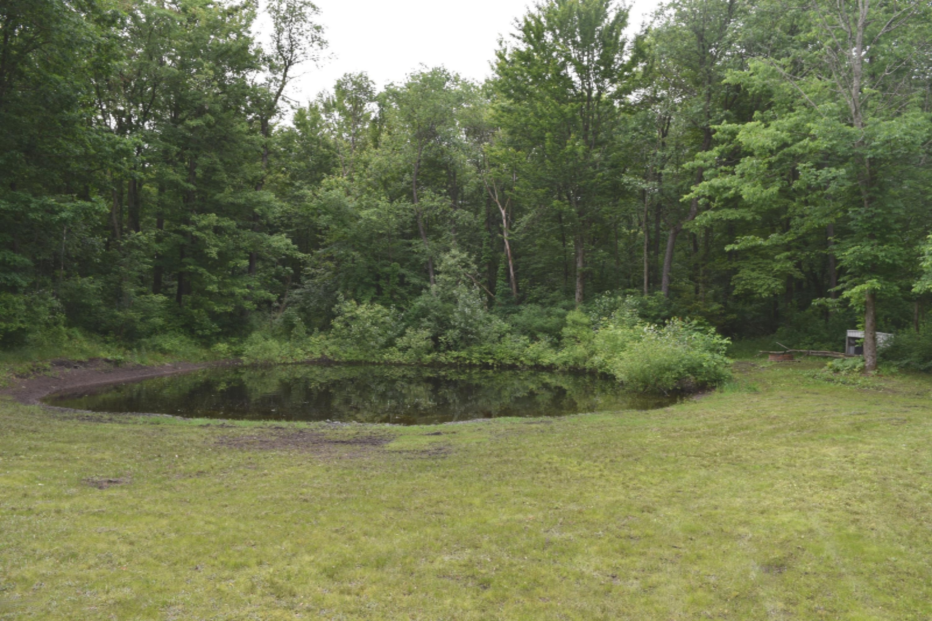 508 North Ravenna Road Ravenna, MI 49451 - Photo 5 of 31 Mark's 141