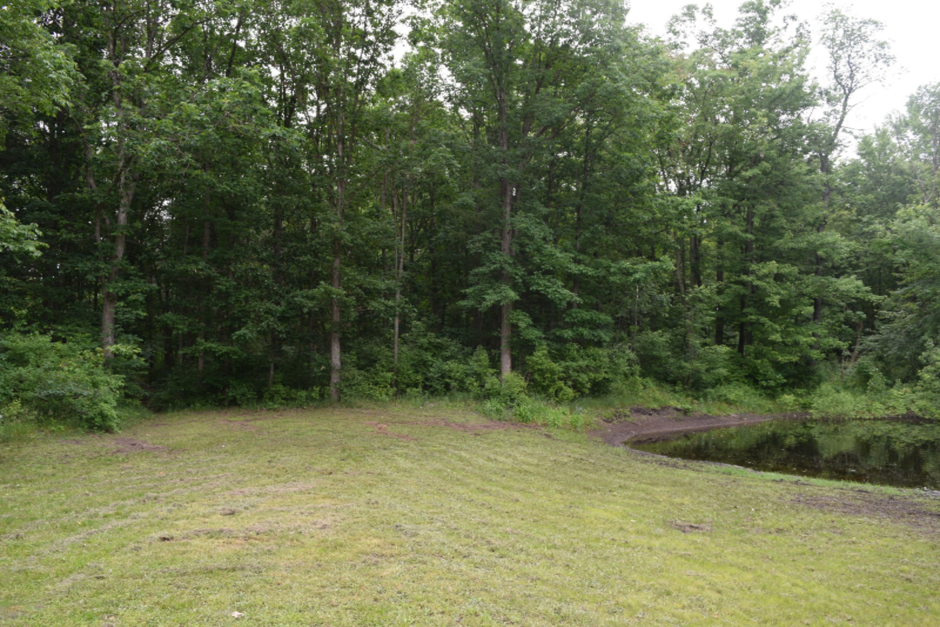 508 North Ravenna Road Ravenna, MI 49451 - Photo 6 of 31 Mark's 142