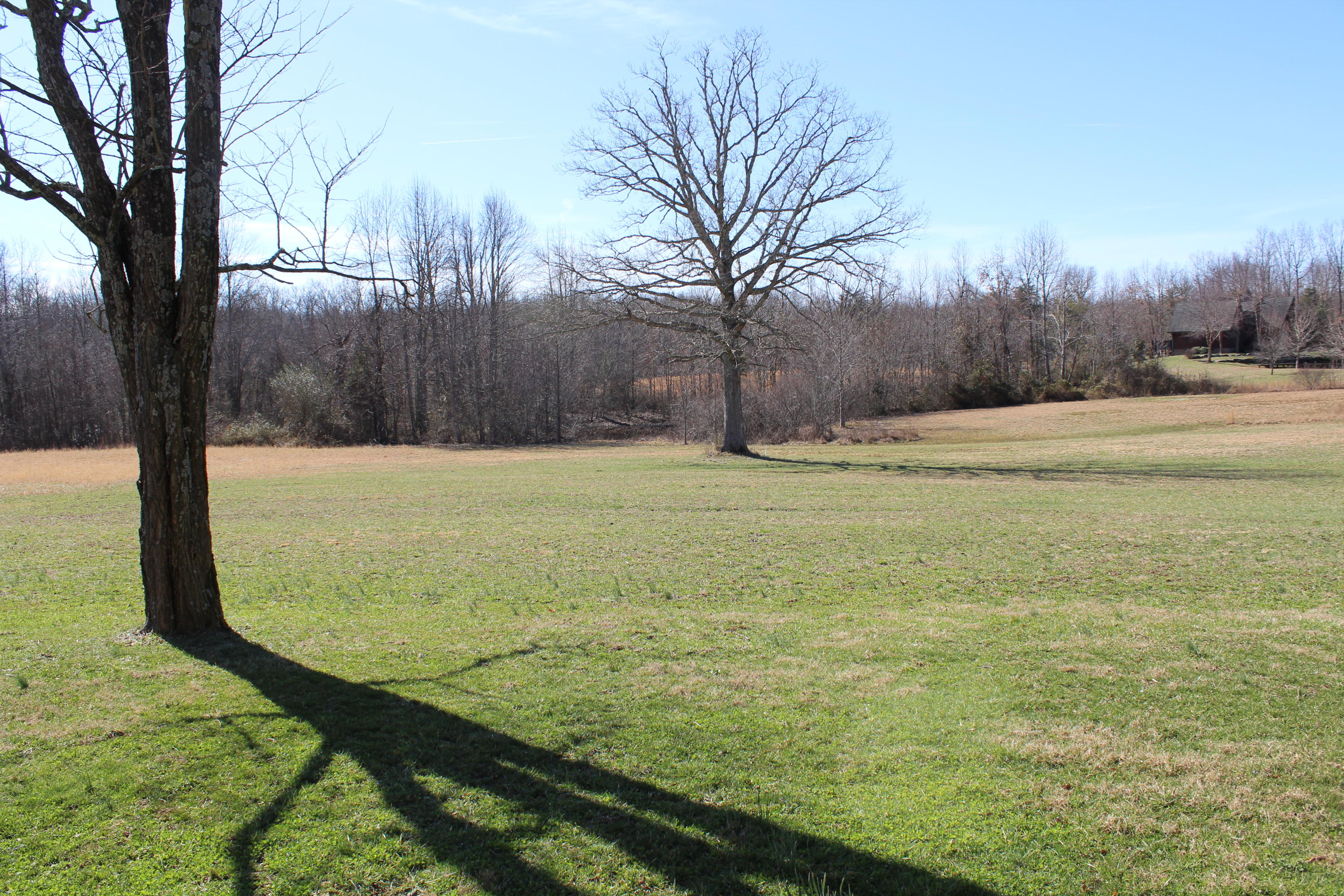284 Stanley Hood Road Crossville, TN 38571 - Photo 22 of 23 IMG_1078