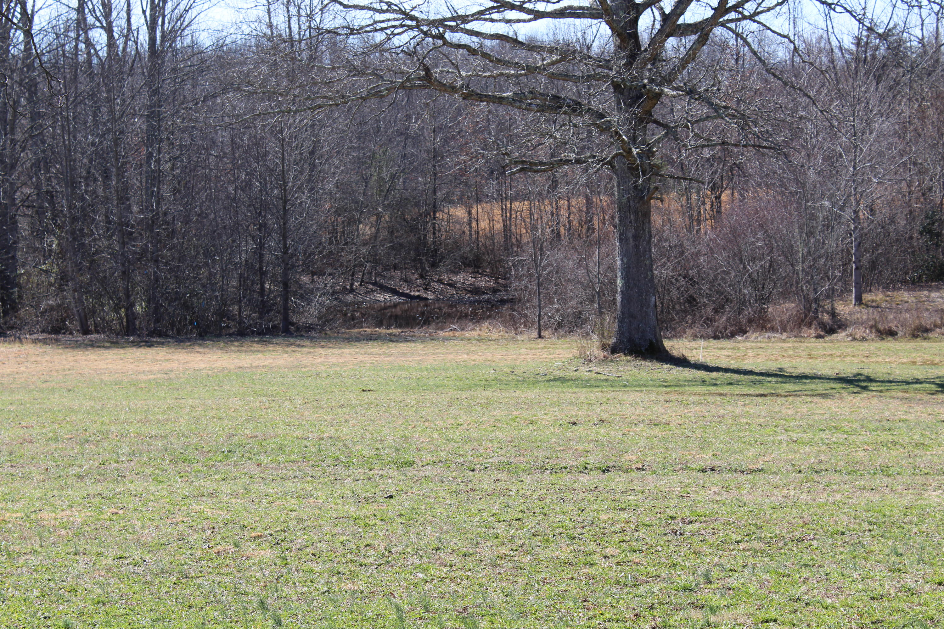 284 Stanley Hood Road Crossville, TN 38571 - Photo 23 of 23 IMG_1081