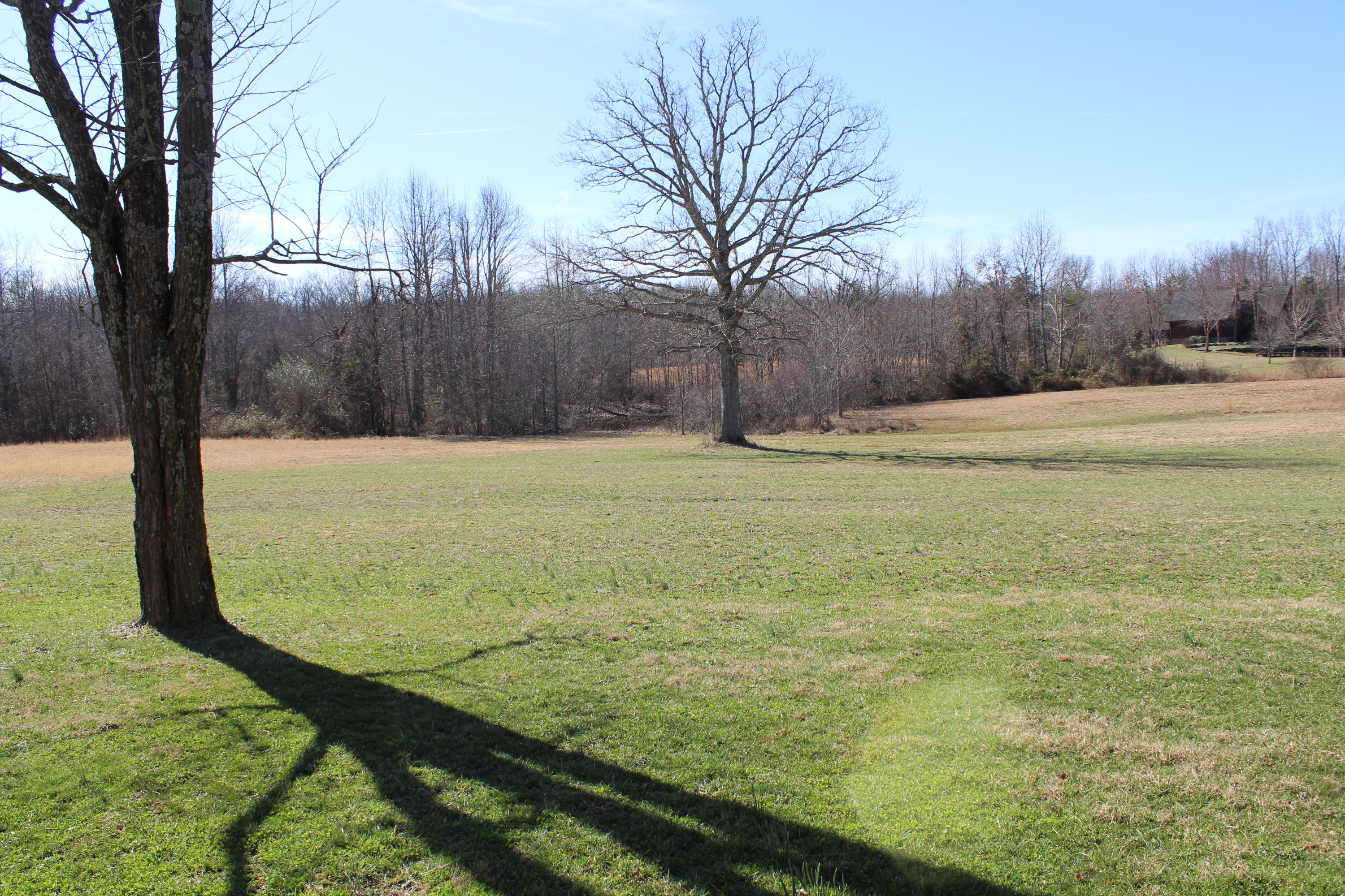 284 Stanley Hood Road Crossville, TN 38571 - Photo 6 of 23 IMG_1079