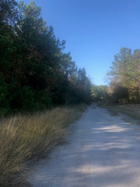 0 Atascocita Road Humble, TX 77346 - Photo 2 of 11 Atascocita Road at Barents.