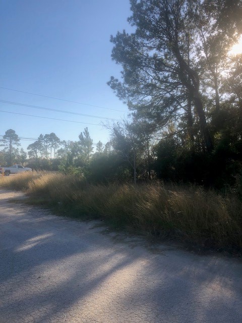 0 Atascocita Road Humble, TX 77346 - Photo 3 of 11