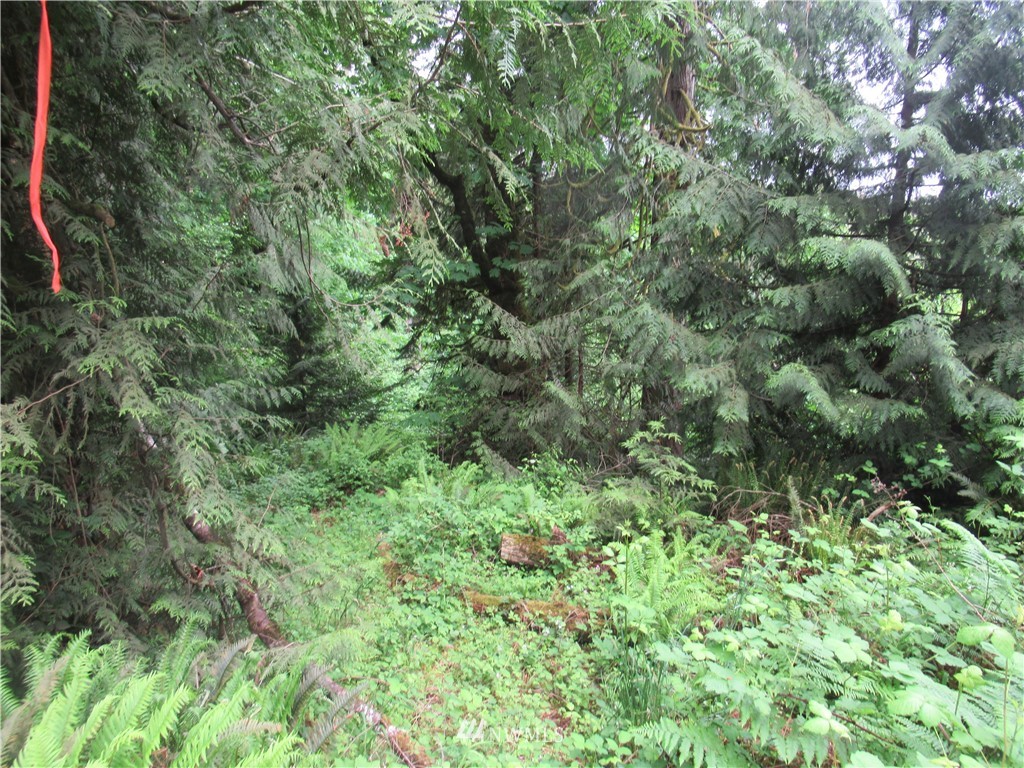 0 Southeast Mullenix Road Port Orchard, WA 98367 - Photo 2 of 2 Gallery Image 2