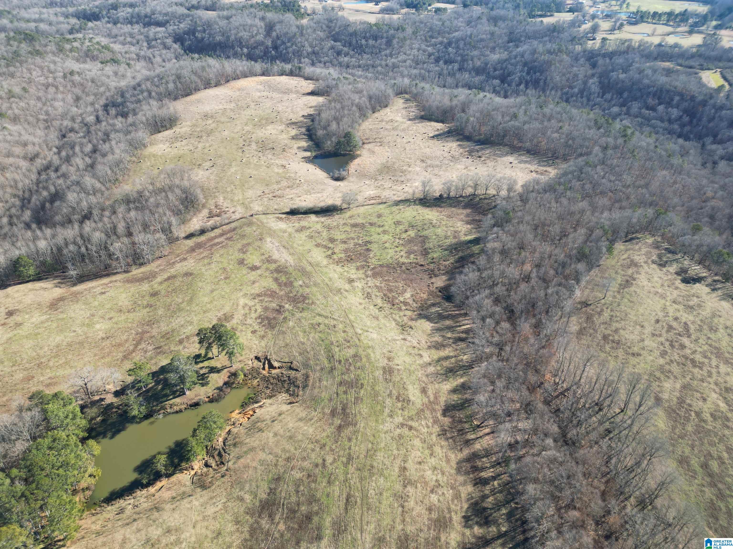 682 County Road 832 Logan, AL 35098 - Photo 10 of 48