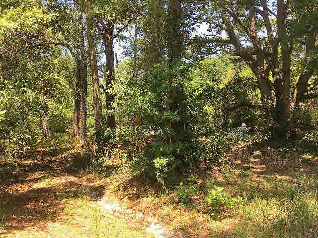 7275 Pinehill Road Daphne, AL 36526 - Photo 11 of 11