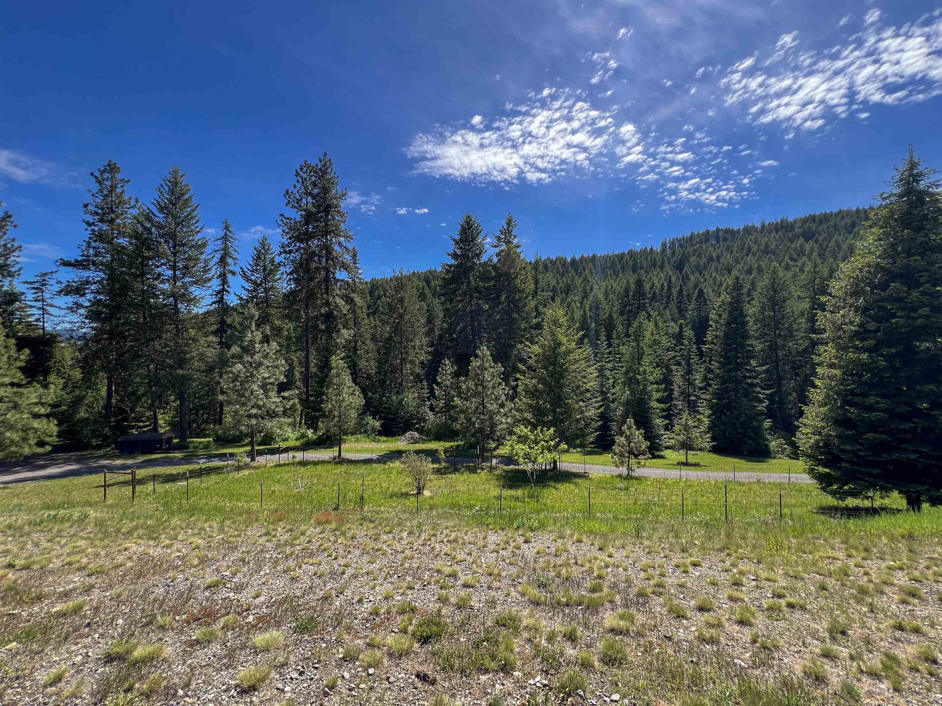 1188 Randall Road Colville, WA 99114 - Photo 29 of 44