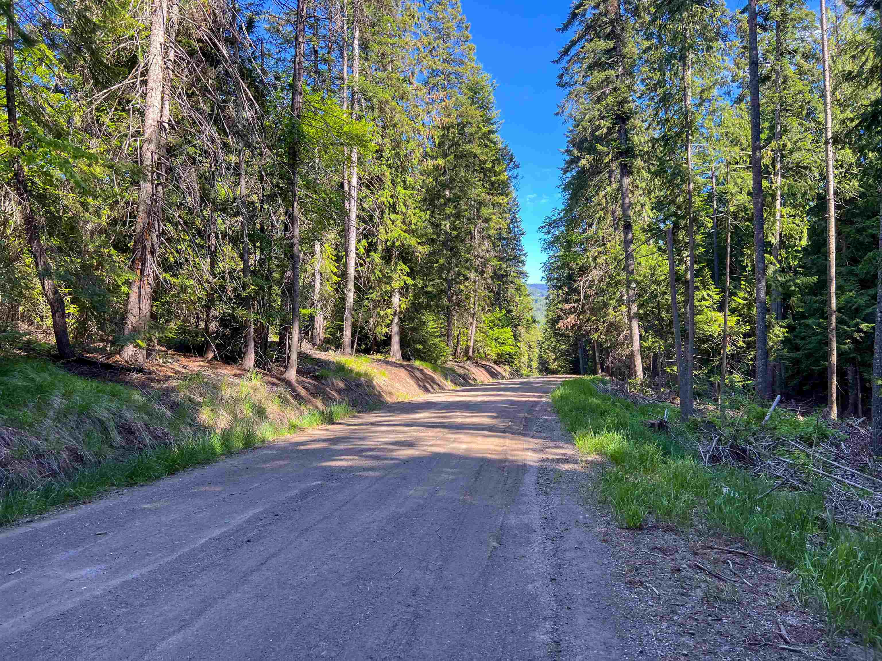 1188 Randall Road Colville, WA 99114 - Photo 38 of 44