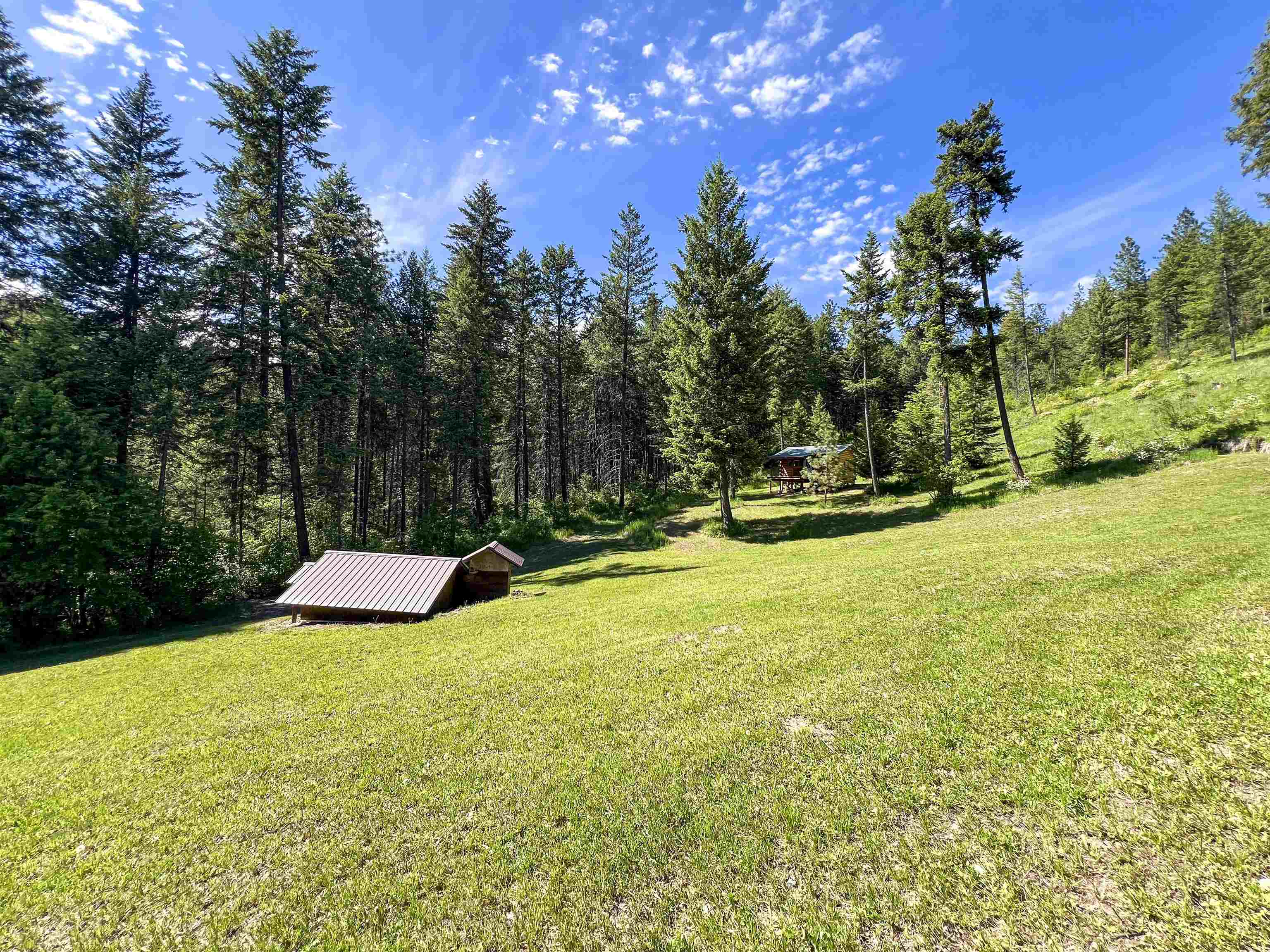 1188 Randall Road Colville, WA 99114 - Photo 41 of 44