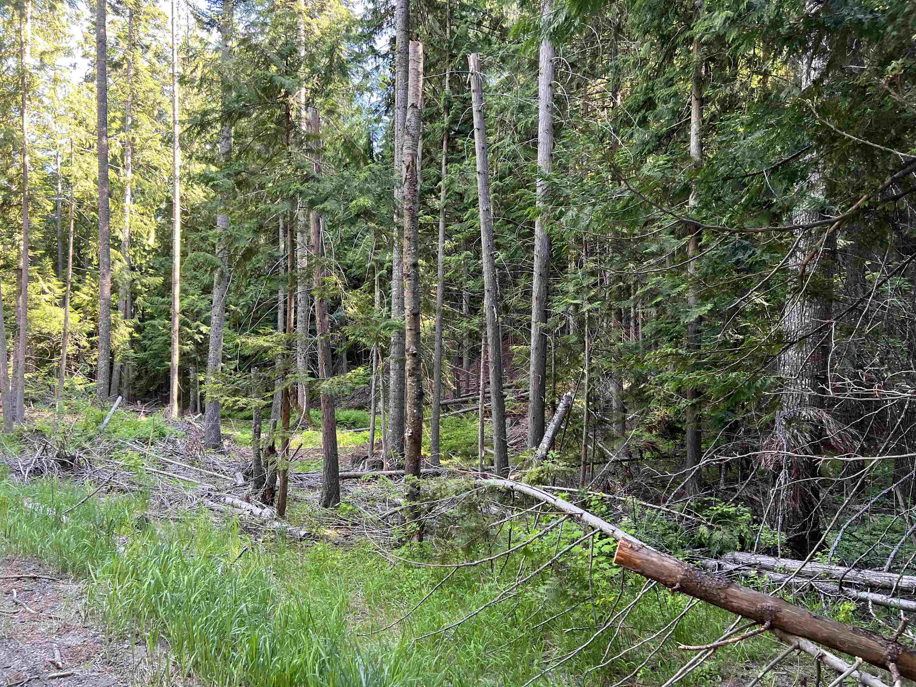 1188 Randall Road Colville, WA 99114 - Photo 44 of 44