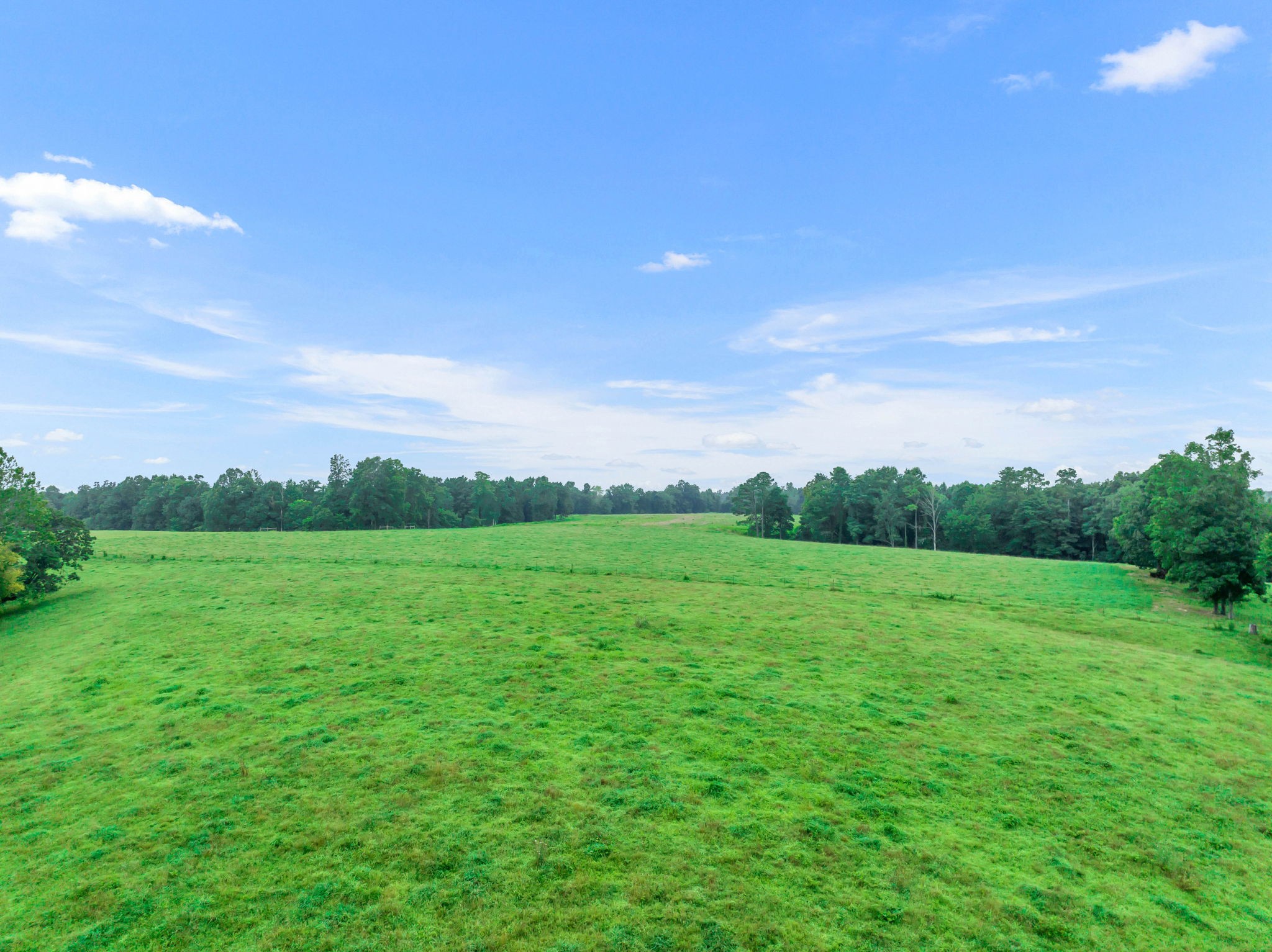 0 Smalling Road Lafayette, TN 37083 - Photo 16 of 26 Gallery Image 16