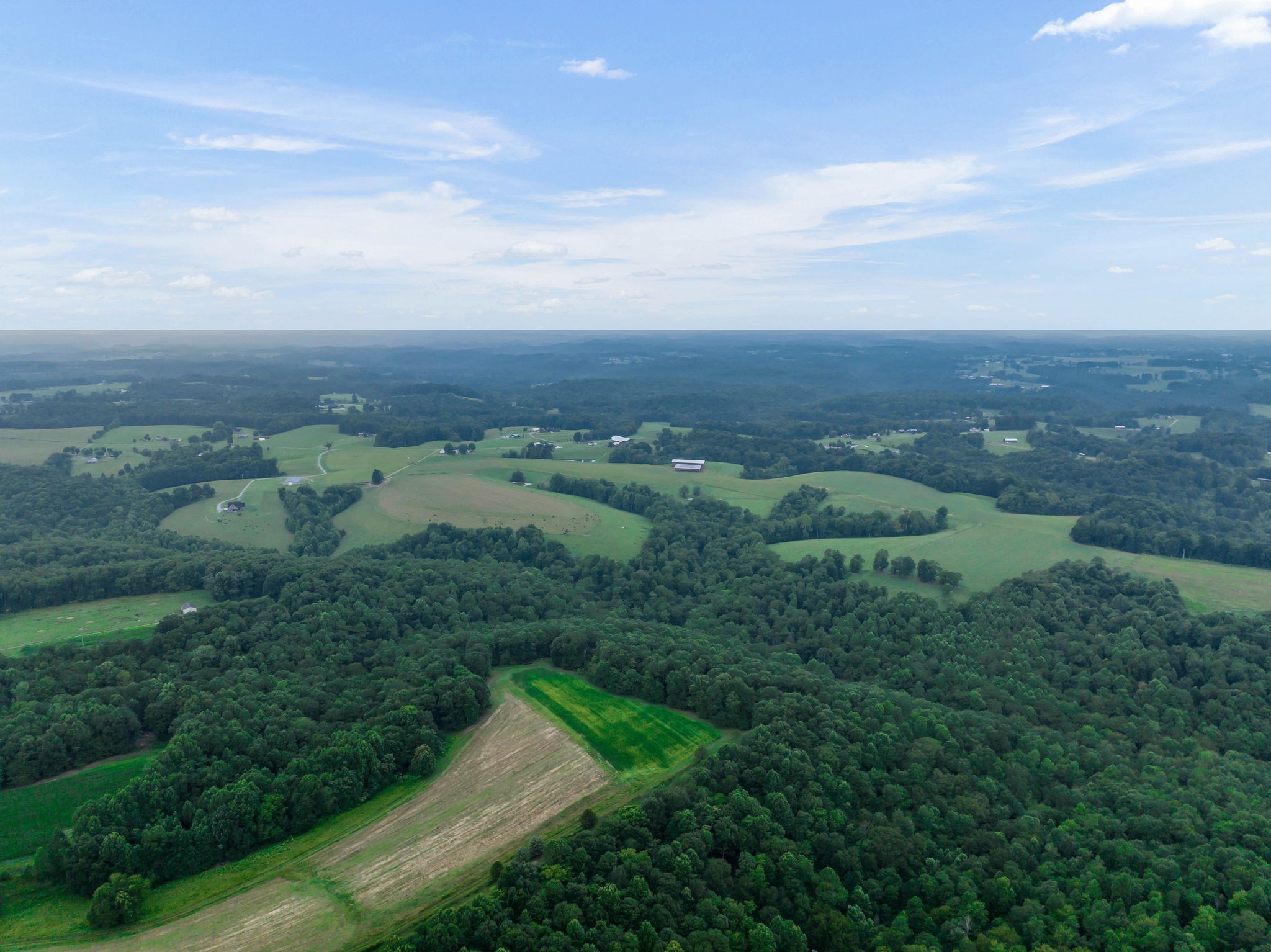 0 Smalling Road Lafayette, TN 37083 - Photo 18 of 26 Gallery Image 18