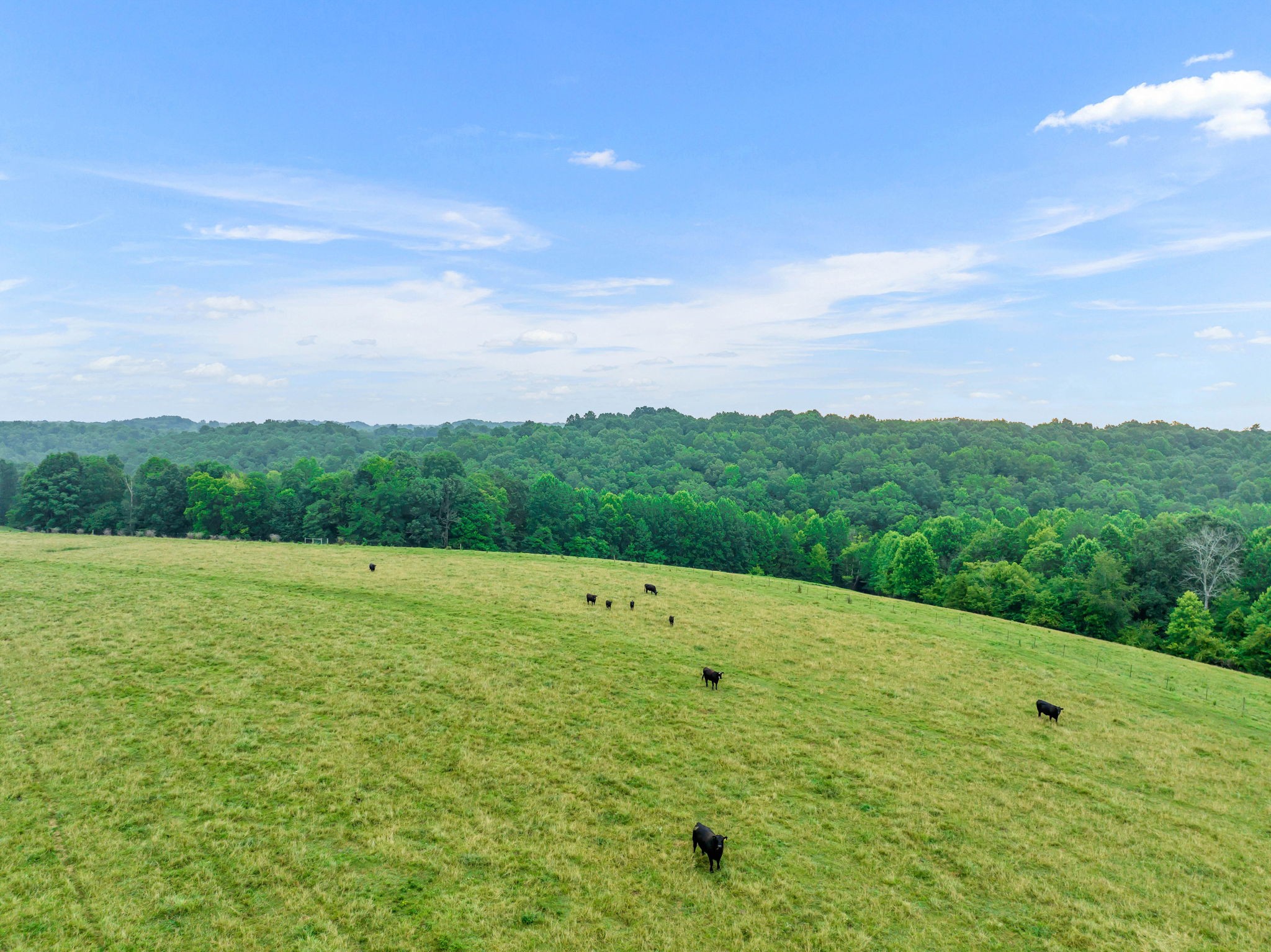 0 Smalling Road Lafayette, TN 37083 - Photo 21 of 26 Gallery Image 21