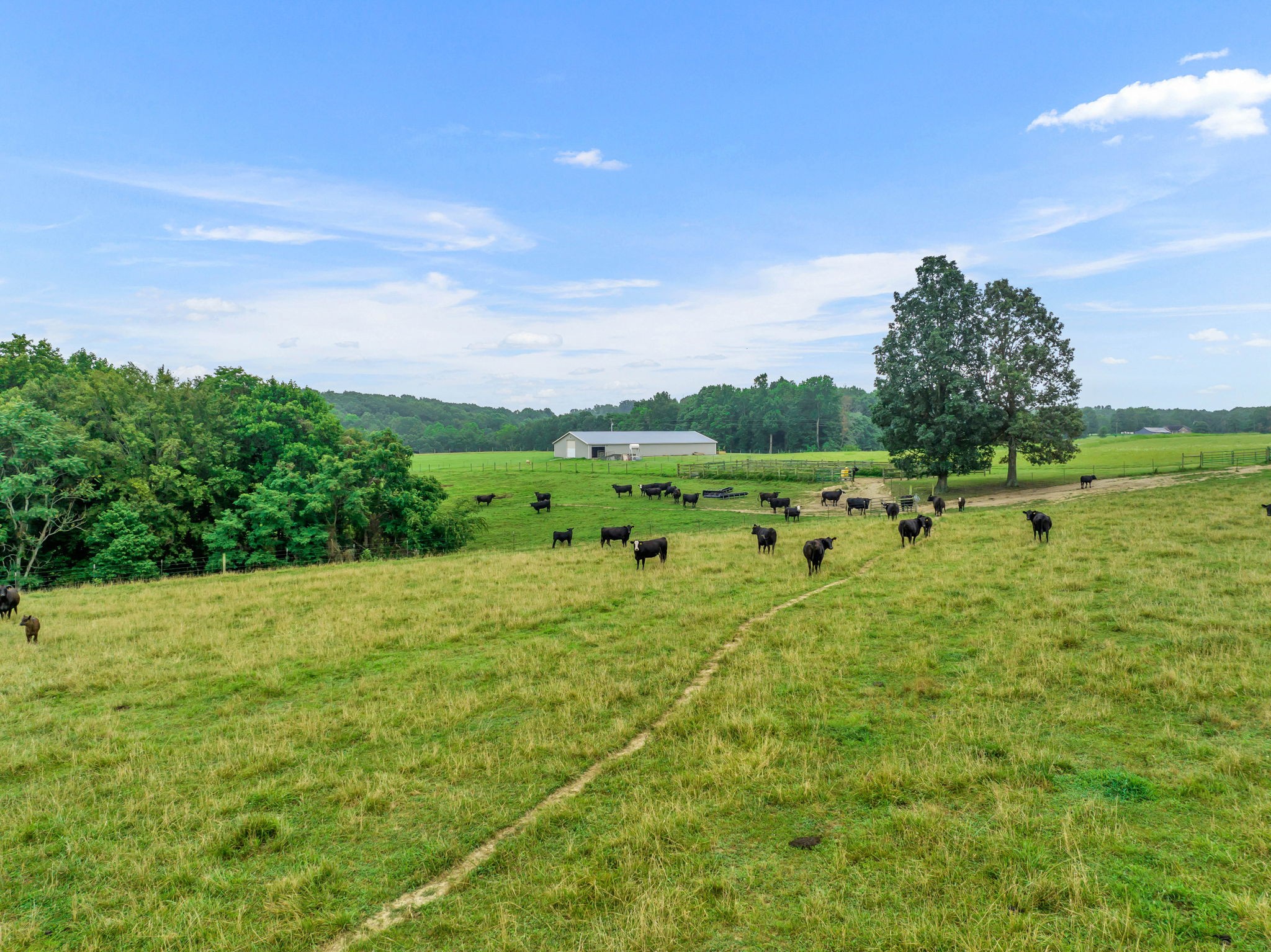 0 Smalling Road Lafayette, TN 37083 - Photo 22 of 26 Gallery Image 22