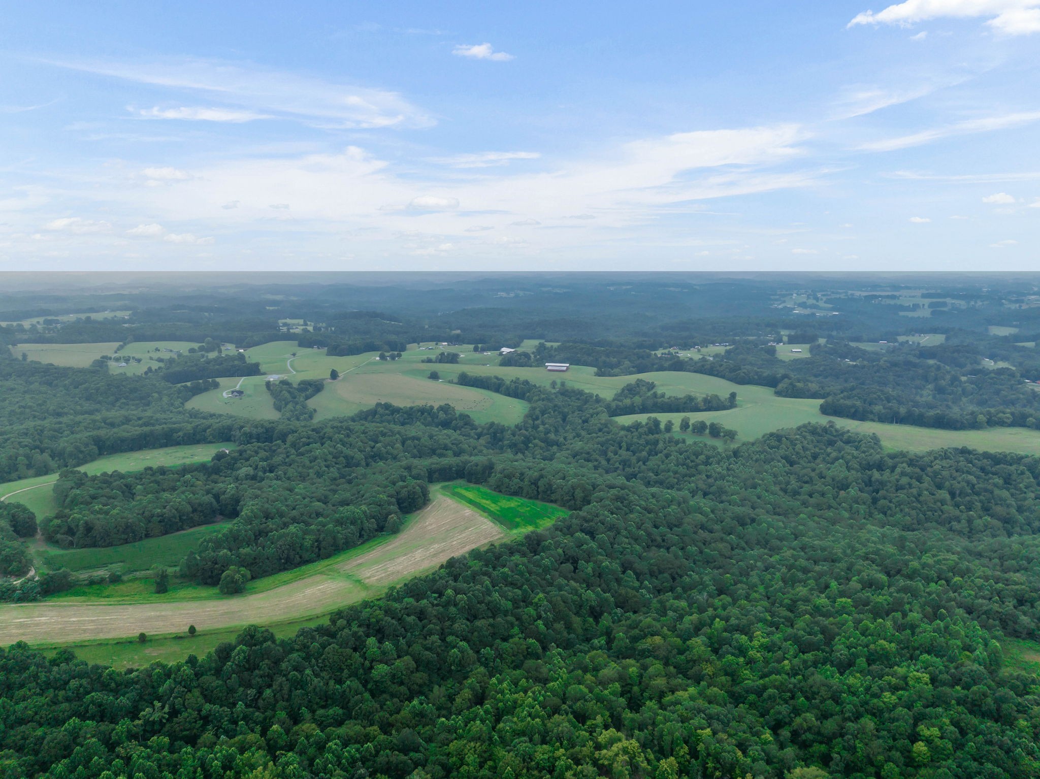0 Smalling Road Lafayette, TN 37083 - Photo 3 of 26 Gallery Image 3
