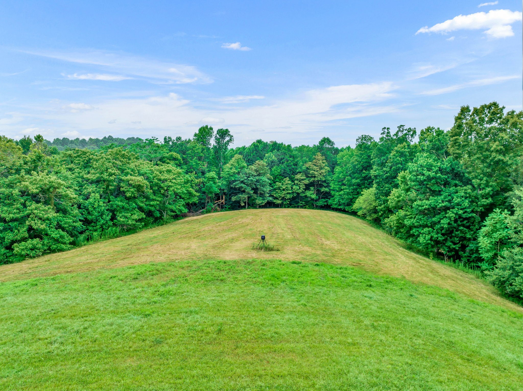 0 Smalling Road Lafayette, TN 37083 - Photo 10 of 26 Gallery Image 10