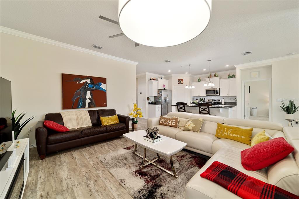 9238 Southwest 60th Terrace Road Ocala, FL 34476 - Photo 16 of 50 a living room with furniture kitchen view and a potted plant