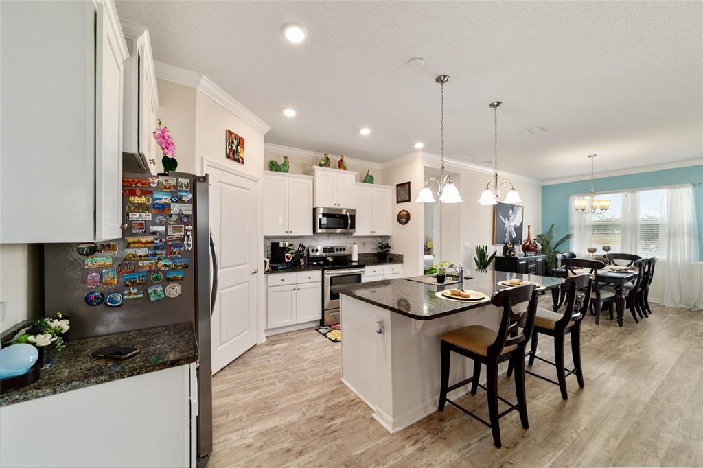 9238 Southwest 60th Terrace Road Ocala, FL 34476 - Photo 18 of 50 a kitchen and a refrigerator in it